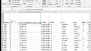 Test Monster Exel For STAAR Results