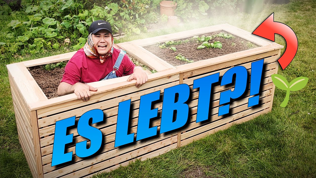 Ich pflanze Gemüse… und hoffe, es überlebt 😂