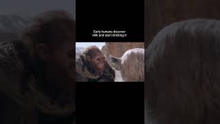 How Did Early Humans Discover Milk and Start Drinking It ❄️🍁#oldhunters #motivation #milkdiscovery