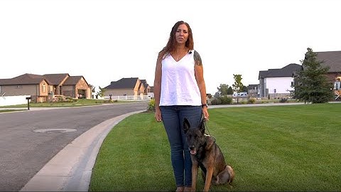 Wireless Dog Fence System Set Up Video
