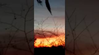 Echo Soul Sunset Bliss ~ Lens 2~ Whispers