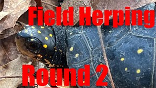 #2 Field Herping & Conservation Thoughts by New England Reptile 3,298 views 4 weeks ago 22 minutes