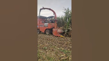 Senrui small four-wheel drive storage machine. #Forage harvester# Corn storage machine🌽🌽