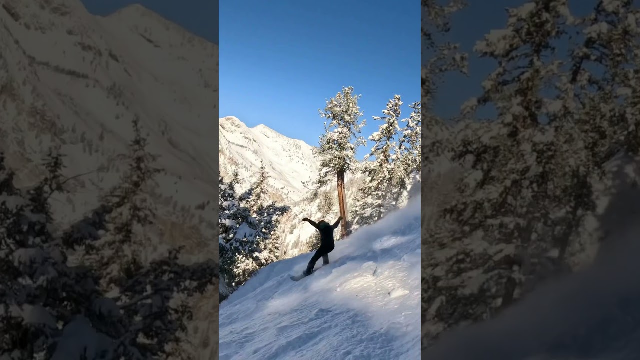 Snowboarding Snowbird resort utah dropping some cliffs in bounds