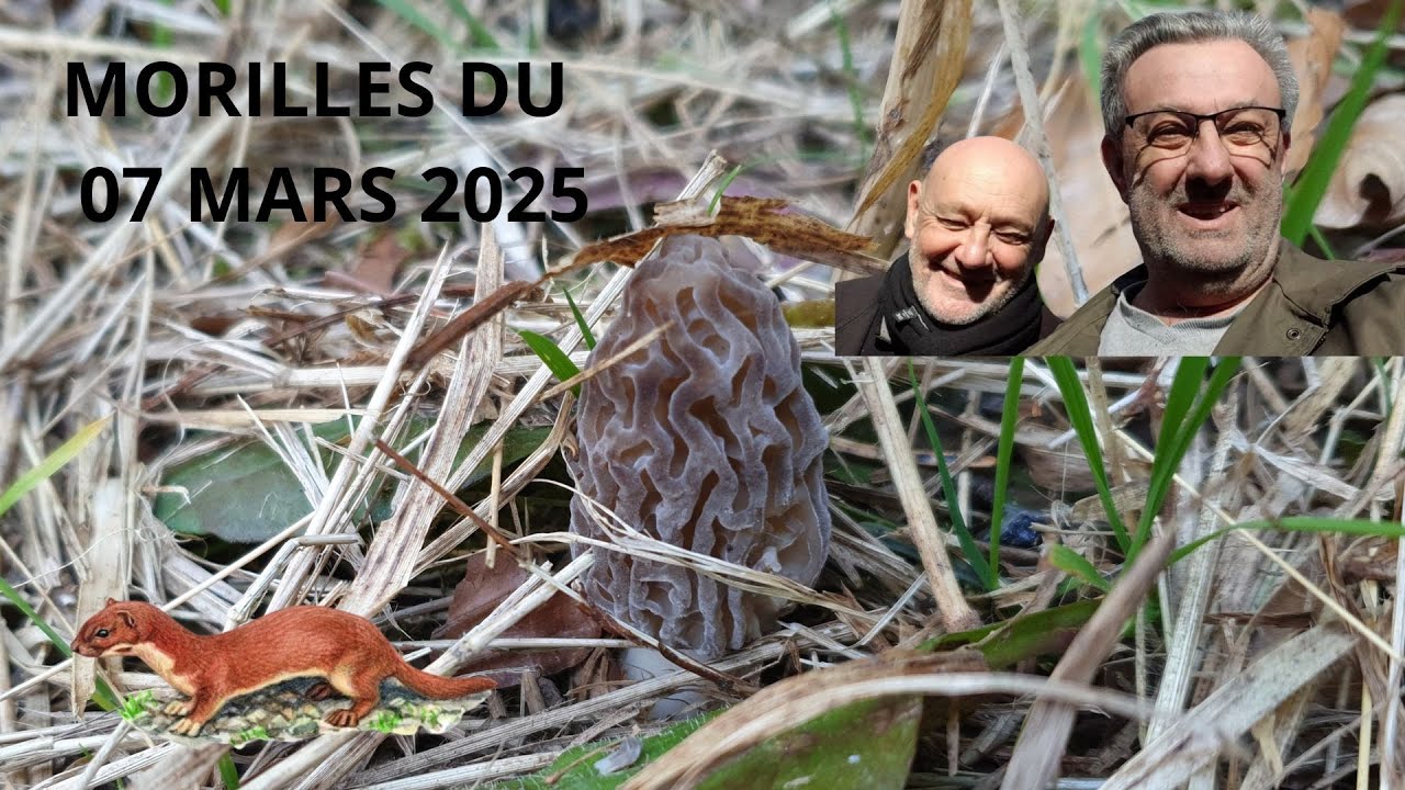 𝐌𝐎𝐑𝐈𝐋𝐋𝐄𝐒 𝐃𝐔 𝟕 𝐌𝐀𝐑𝐒 𝟐𝟎𝟐𝟓 🌲🍄🌳