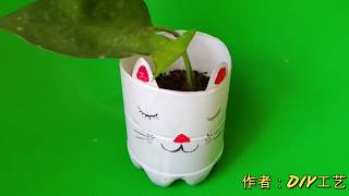 塑料瓶子改造一个漂亮的盆栽，创意手工DIY，制作一个小猫咪花盆