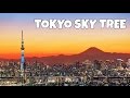 TOKYO AL TRAMONTO DALL' ALTO DELLA TOKYO SKYTREE - SPETTACOLARE!