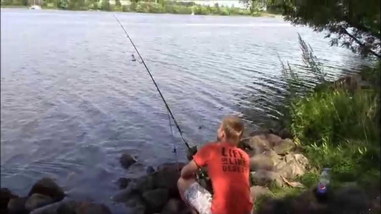 Ловля на волге видео