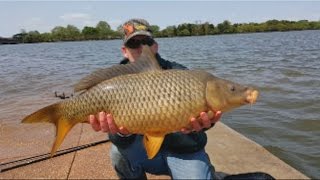 Urban bank fishing for carp - Washington DC USA(This was a typical day of urban bank fishing for carp in America's capital. (Washington D.C.). I love Urban fishing because you get to meet and share carp fishing ..., 2015-04-23T15:11:19.000Z)