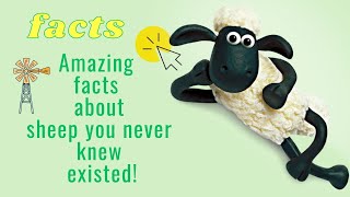 Sheep Revealed: Surprising Facts and Extraordinary Abilities! by MoDo 6,298 views 1 year ago 1 minute, 48 seconds