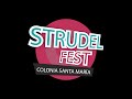 VIAJANDO POR LA ZONA: LA FIESTA DEL STRUDEL