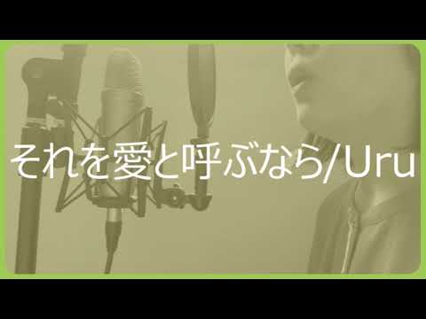 それを愛と呼ぶなら/Uru【歌ってみた】cover by nakano