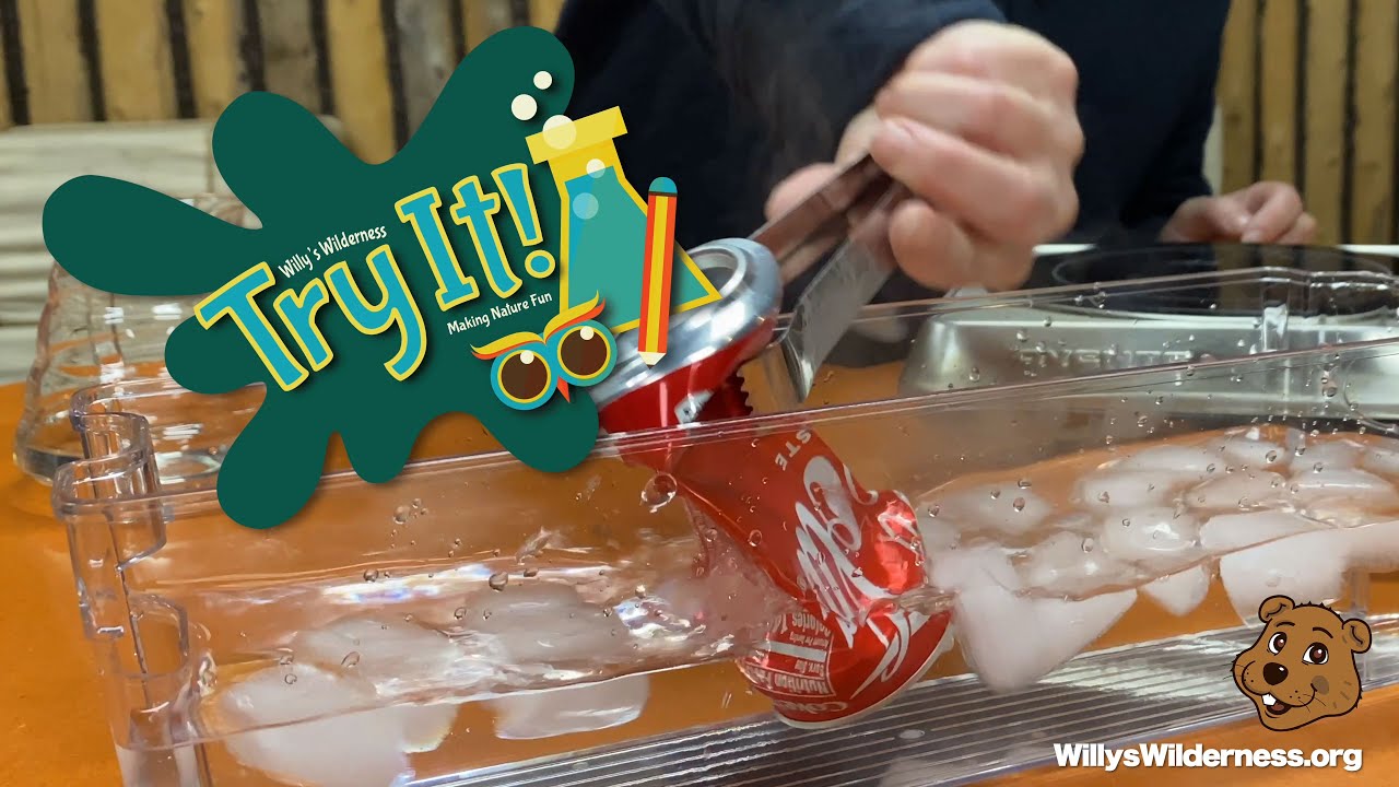 A red aluminum can being dipped into a glass container filled with iced water. Logo on upper left with owl eyes and a flask. Text on logo says "Willy's wilderness: Try it! Making Nature Fun".