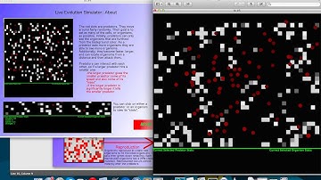 Evan Metsky - 15-112 - Evolution Simulator