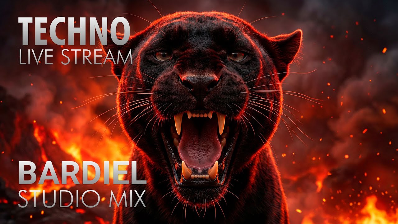 Bardiel Techno DJ Live Stream  08.01.26 (Hybrid Setup)