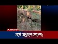 ত্রিশালে জমির গর্ত থেকে ৩ জনের মরদেহ উদ্ধার | Mymensingh | Jamuna TV