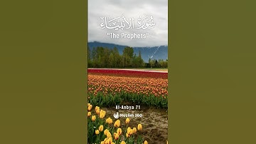 Surah Al-Anbiya 71 - Hindi/Urdu Audio |سورة الأنبياء #surahalanbiya #muslim360