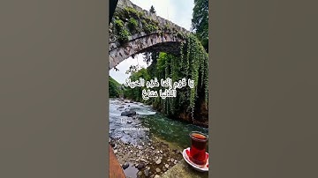 الآية 39 من سورة غافر   بصوت الشيخ المنشاوي رحمه الله