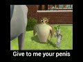 give to me your penis