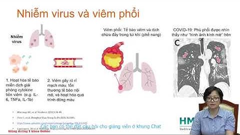 XÉT NGHIỆM QUẢN LÝ VÀ THEO DÕI ĐIỀU TRỊ BỆNH NHÂN COVID-19 | TS. BS. Nguyễn Thị Ngọc Lan