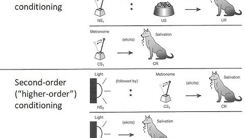 PSYC 370 Video Lecture - Higher-Order Conditioning