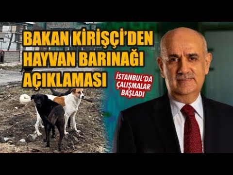 Bakan Kirişçi'den hayvan barınağı açıklaması: \