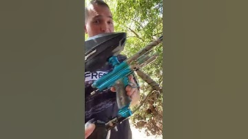 WGP Orracle Custom!!