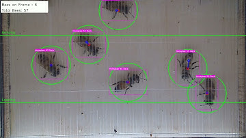 IntelliBeeHive BeeVideoCam1 Tracking Final1280x720 Object Detection YOLOv7-Tiny