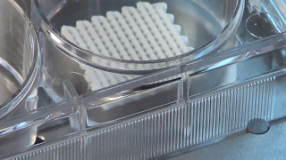 3D Bioprinter - 3DDiscovery - Core shell 3D bioprinting - by regenHU Ltd.