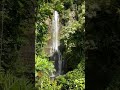 Falls of Makahiku