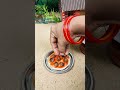 Miniature Chapati with Sauce in My Tiny Village Kitchen | Miniature Cooking