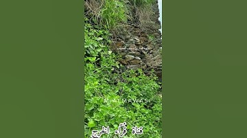 تلاوة للقارئ سيف محمد السيف