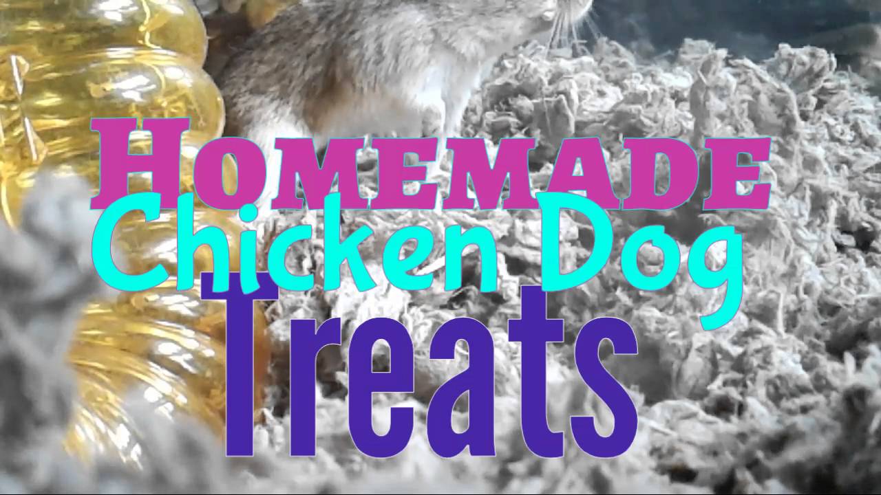 Homemade Chicken Dog Treats YouTube