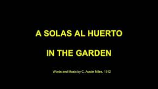 (112 GUA - 72 MEX) PISTA A Solas al Huerto - (175 WS) INSTRUMENTAL In the Garden