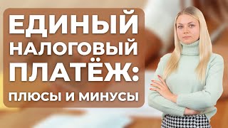 Единый налоговый платёж для ИП и юридических лиц: плюсы и минусы