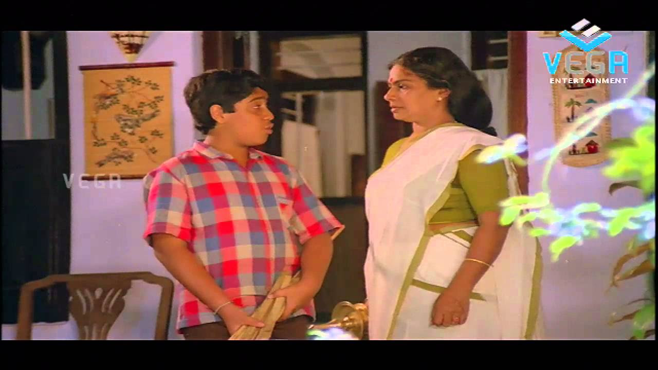 Sreedharante Onnam Thirumurivu  Movie   Sukumari Amma Best Scene