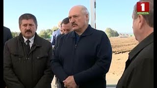 Будущий год в Беларуси будет посвящен культуре земледелия