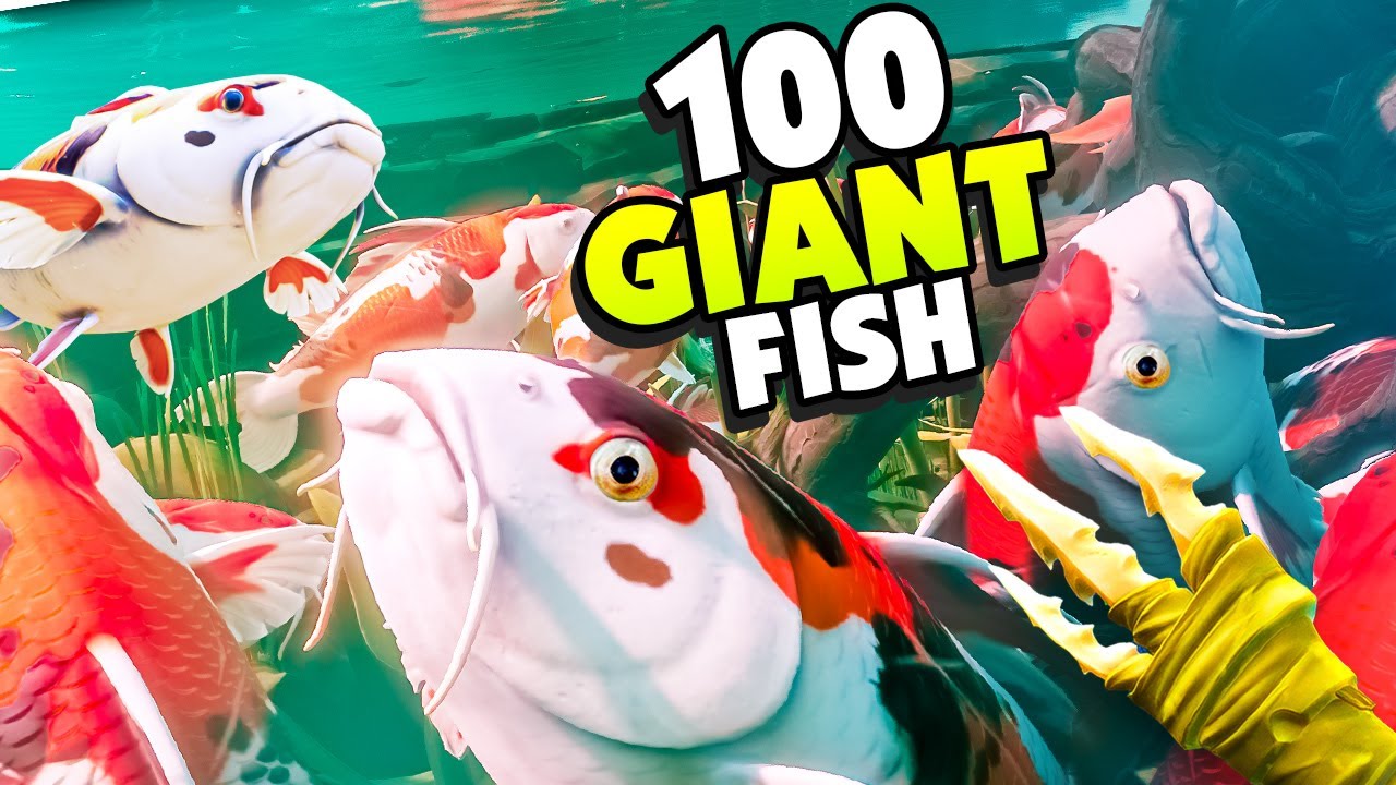 Spawning 100 GIANT KOI FISH Into the Pond! - Grounded Pond Update - YouTube