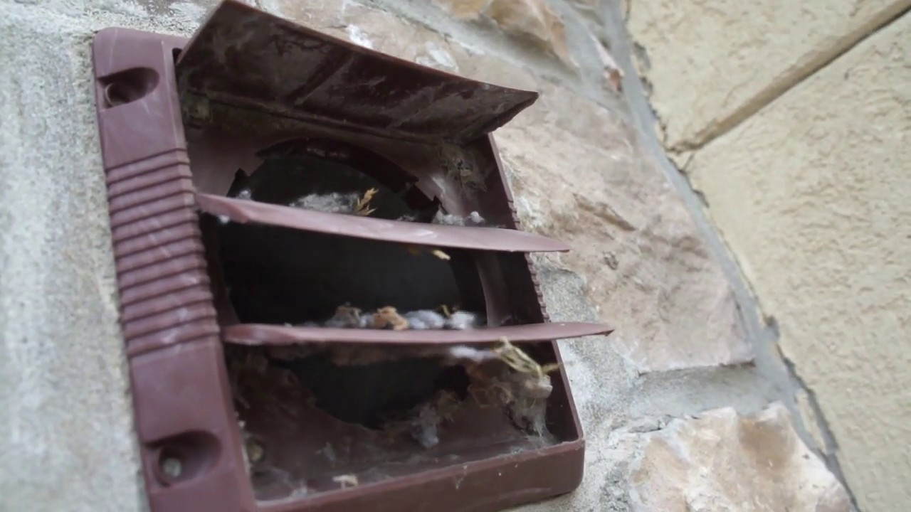 How To Clean Out a Dryer Vent with a Leaf Blower!! YouTube