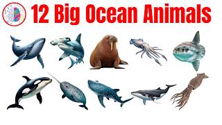 Meet 12 Big Ocean Animals | 12 Big Ocean Animals List | Learn Ocean Animals With Pictures
