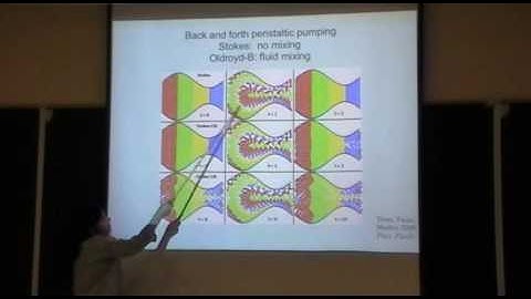 Amazing Simulations II - Fauci