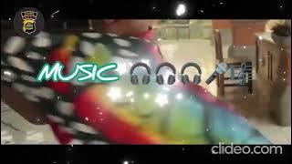 Tri Puspa - Silap Silap (Official Lyric Video)