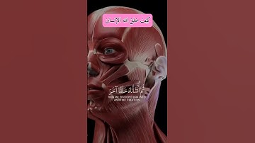 ياسر الدوسري تلاوة خاشعة #سوره_النساء  امام الحرام المكي السعودية #اكسبلور #ترند #لايك #تيك_توك