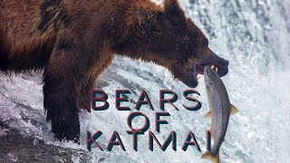 The Bears of Brooks Falls | Katmai National Park | Alaska | 4K