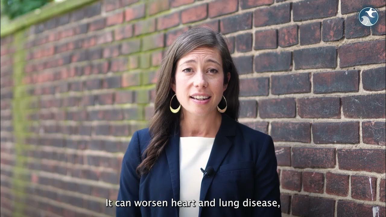 Summary of Climate Change in New Jersey for Teachers YouTube