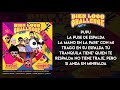 Video Musical