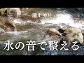 水の神様の祓い|滝・川・海の音で心と空間を整える31分間