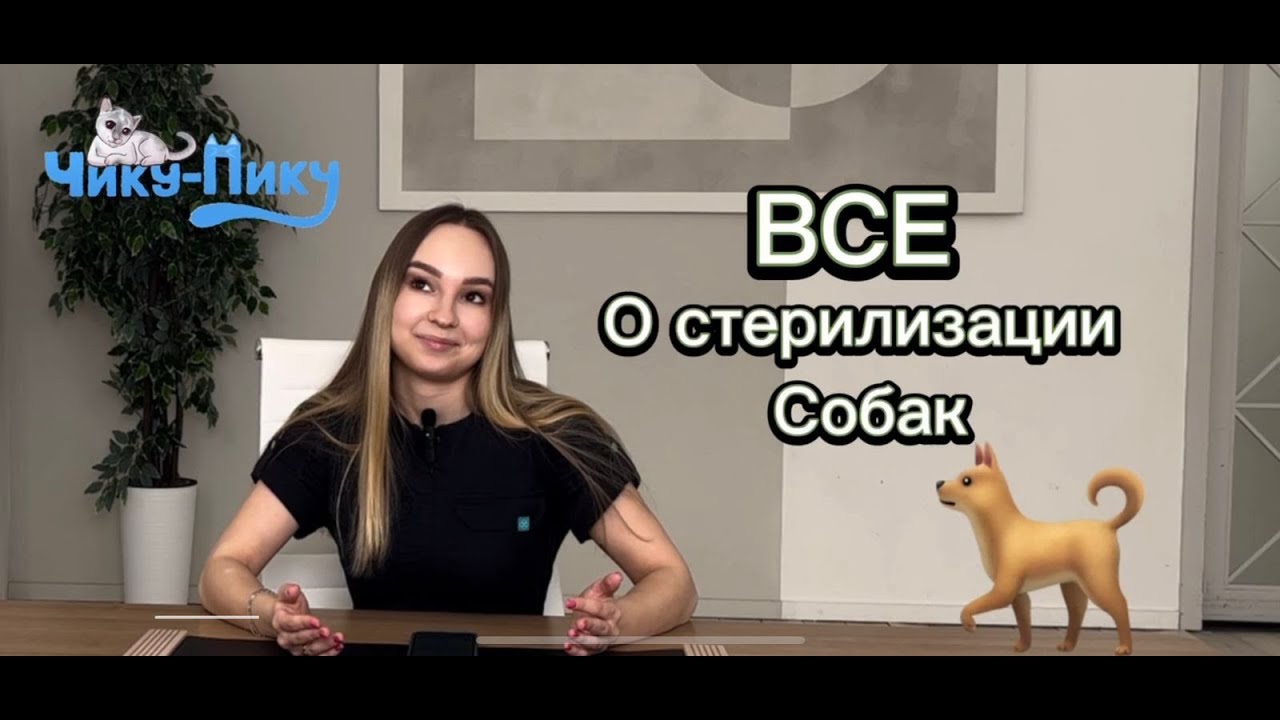 ВСЕ о стерилизации собак? Недержание мочи, когда кастрировать, когда НЕЛЬЗЯ кастрировать и другое?