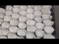 Live Making Dimsum 🧑‍🍳#food #foryou #youtubeshorts #dimsum 