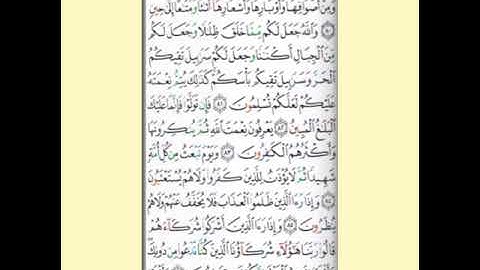 تجويد الصفحة ٢٧٦ من سورة النحل